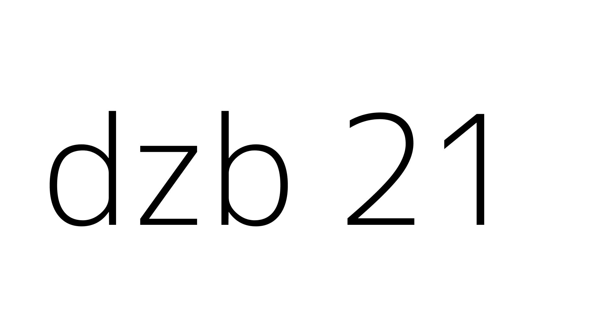 dzb 21